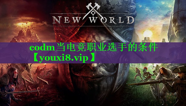 codm当电竞职业选手的条件