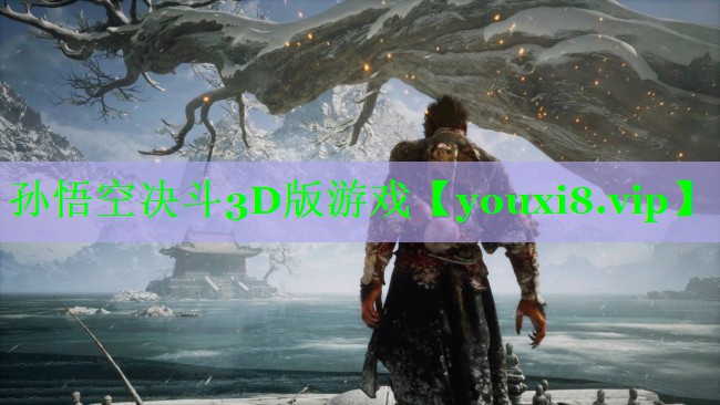 孙悟空决斗3D版游戏 孙悟空决斗3D版游戏