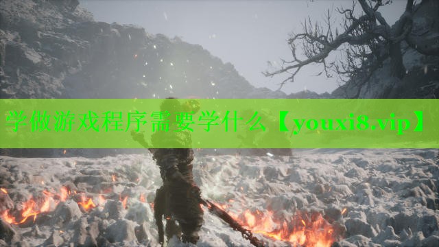 学做游戏程序需要学什么 学做游戏程序需要学什么